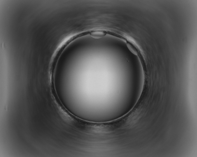 X0000086891416200704161236