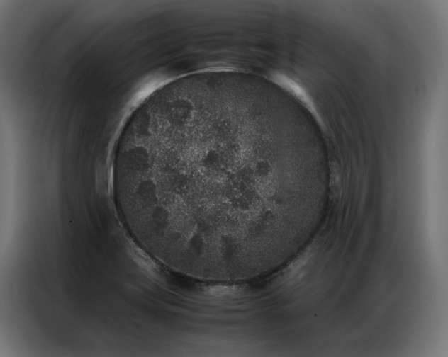 X0000086891419200704161236