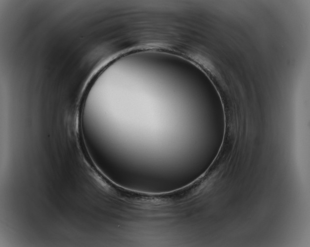 X0000086891420200704161236