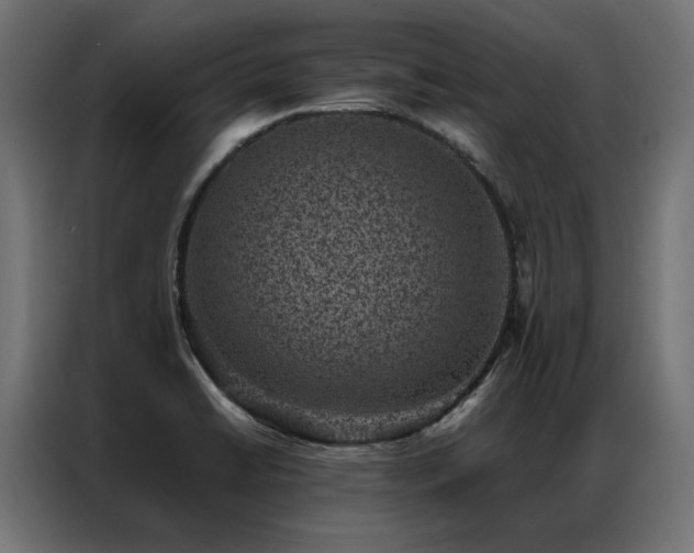 X0000086891422200704161236