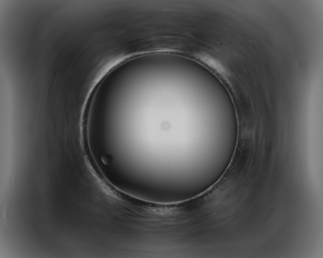 X0000086891423200704161236