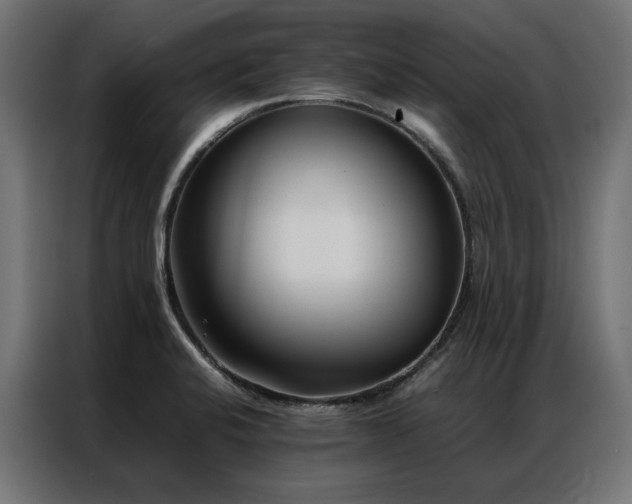 X0000086891424200704161236