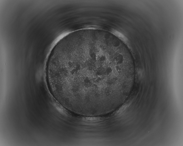X0000086891427200704161236