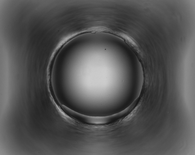 X0000086891430200704161236