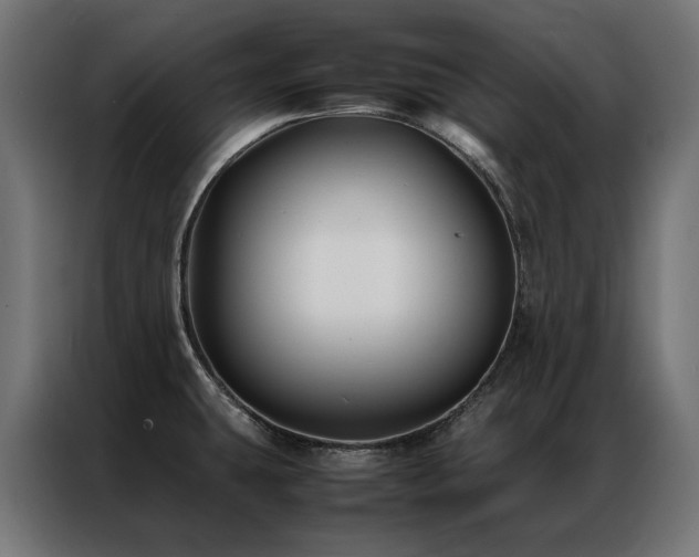 X0000086891431200704161236