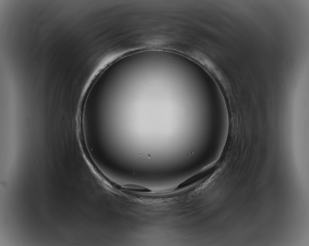 X0000086891432200704161236