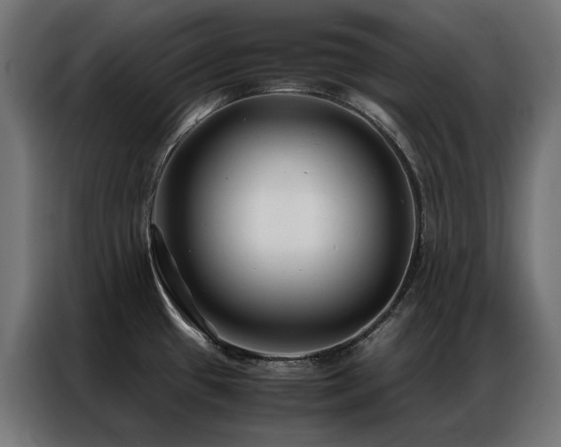 X0000086891433200704161236