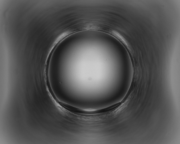 X0000086891434200704161236