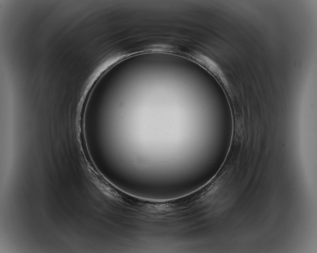 X0000086891435200704161236