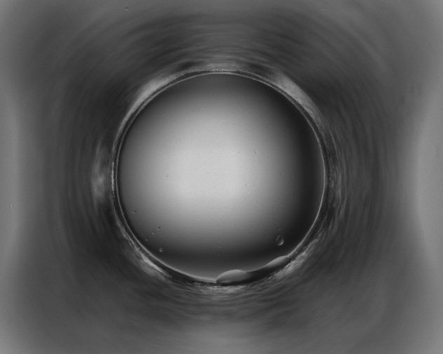 X0000086891436200704161236