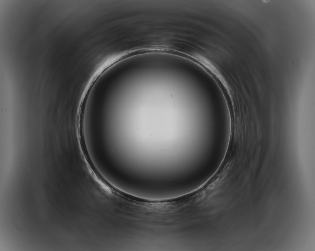 X0000086891437200704161236