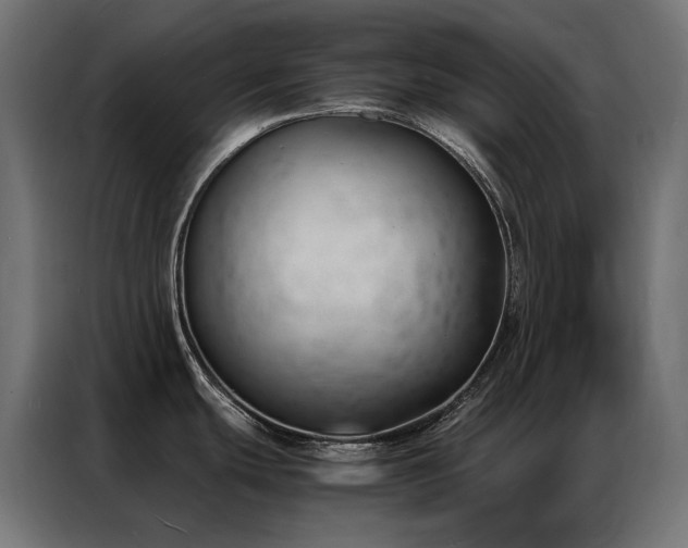 X0000086891439200704161236