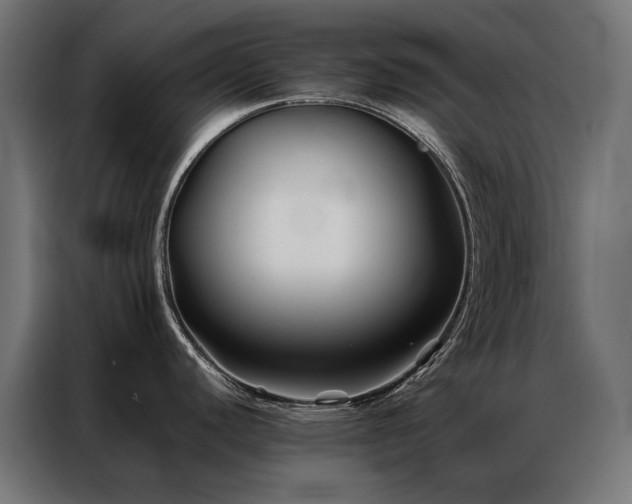 X0000086891440200704161236