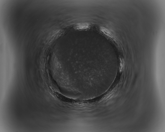 X0000086891441200704161235