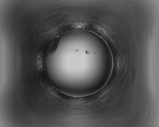 X0000086891442200704161235