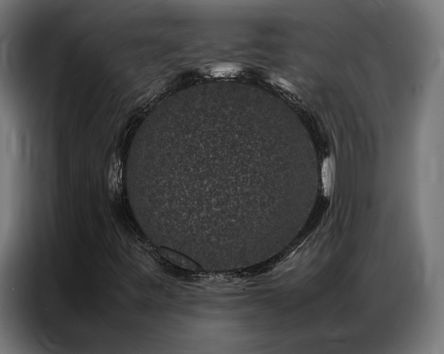 X0000086891443200704161235