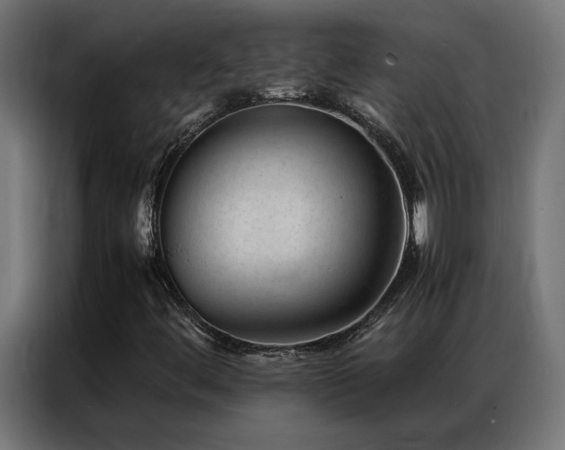 X0000086891444200704161235