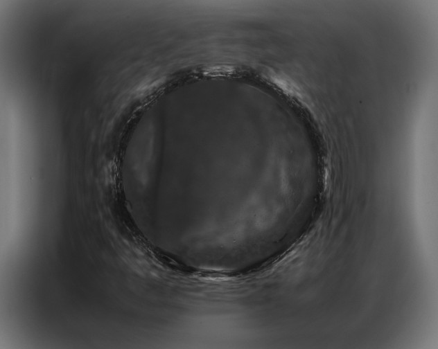 X0000086891445200704161235