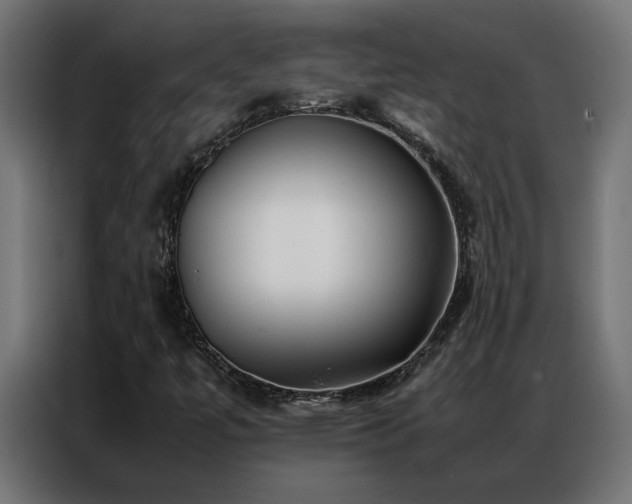 X0000086891447200704161235