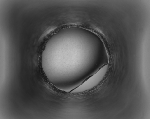 X0000086891448200704161235