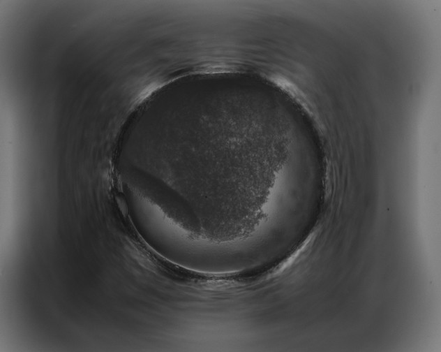 X0000086891449200704161235