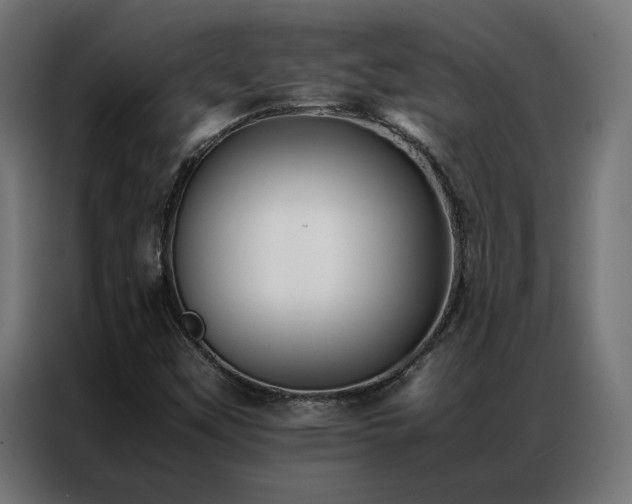 X0000086891451200704161235