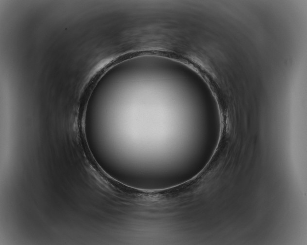 X0000086891452200704161235