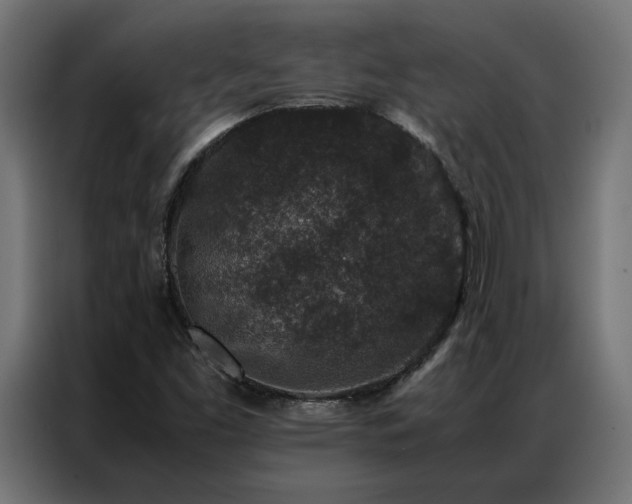 X0000086891453200704161235