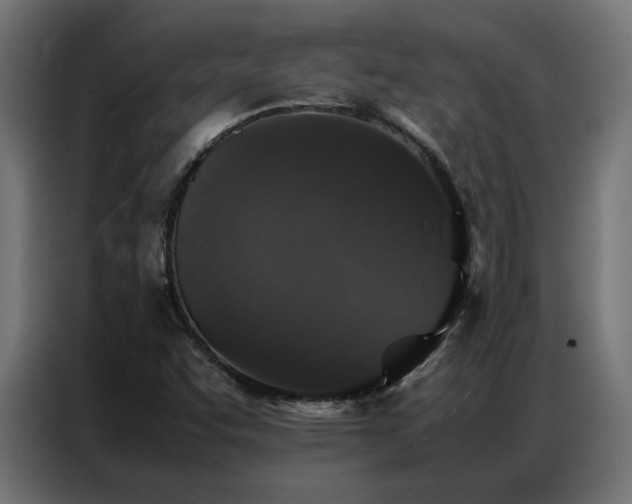 X0000086891455200704161235