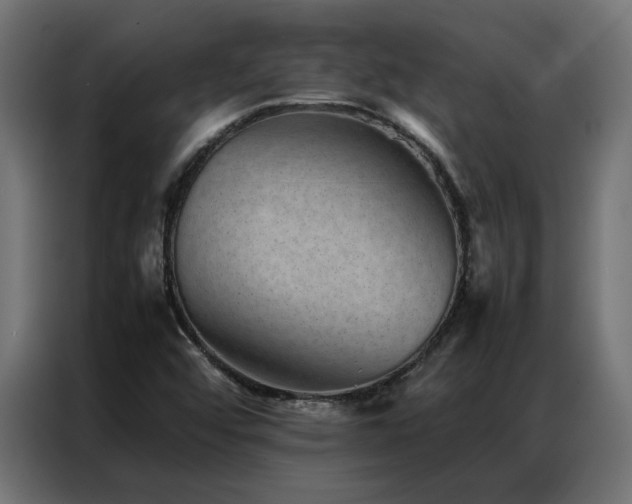 X0000086891456200704161235