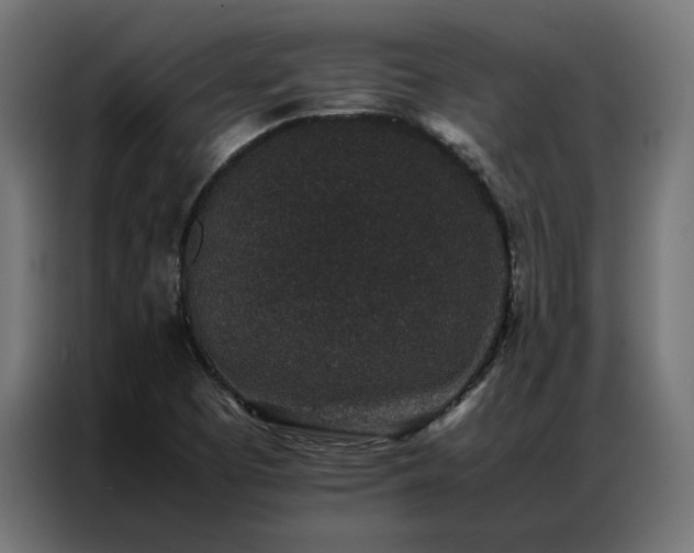 X0000086891457200704161235