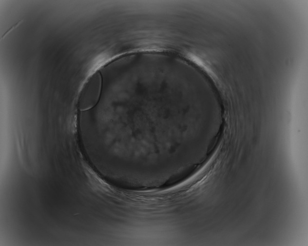 X0000086891459200704161235