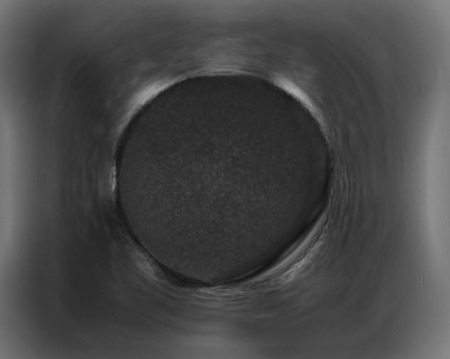 X0000086891461200704161235