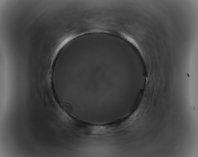 X0000086891463200704161235