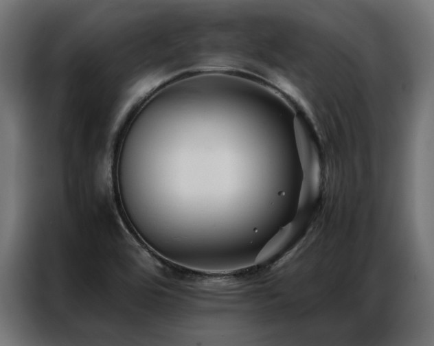 X0000086891464200704161235