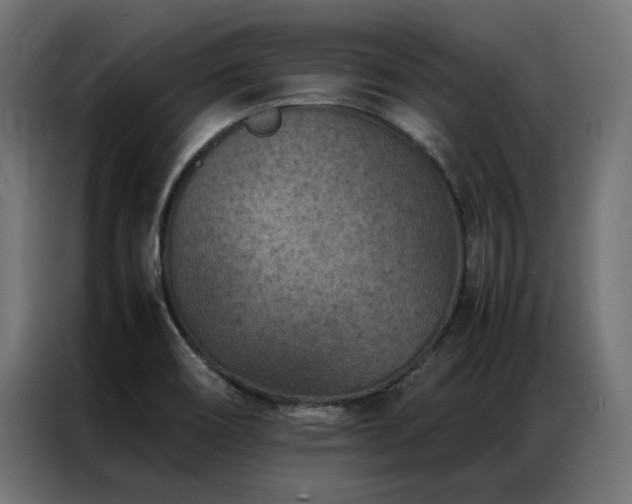 X0000086891466200704161235