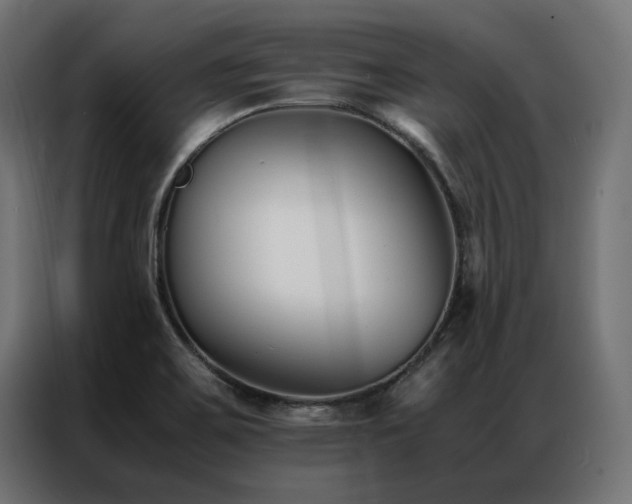 X0000086891467200704161235