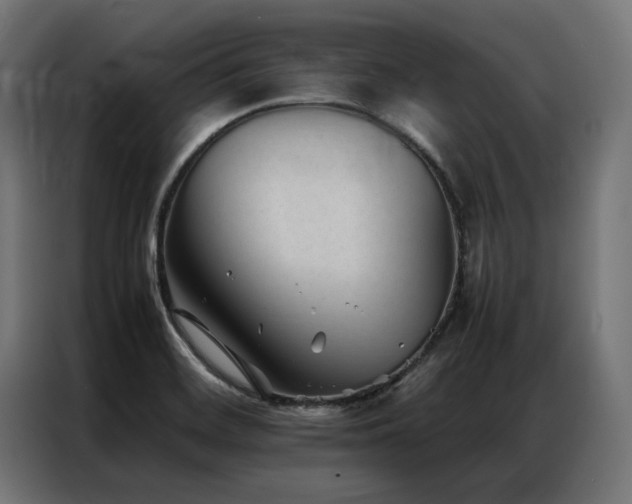 X0000086891468200704161235