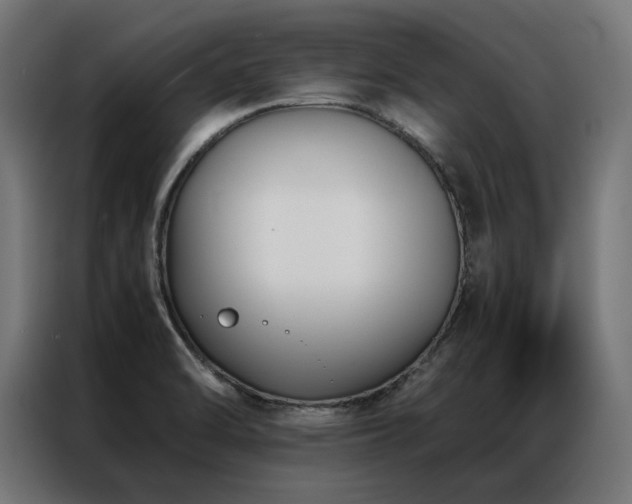 X0000086891470200704161235