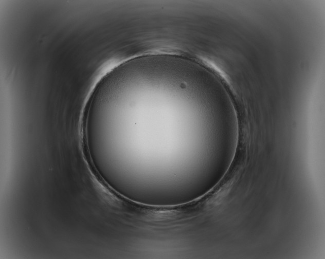 X0000086891471200704161235