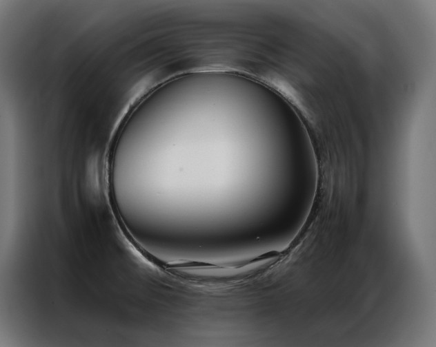 X0000086891476200704161234