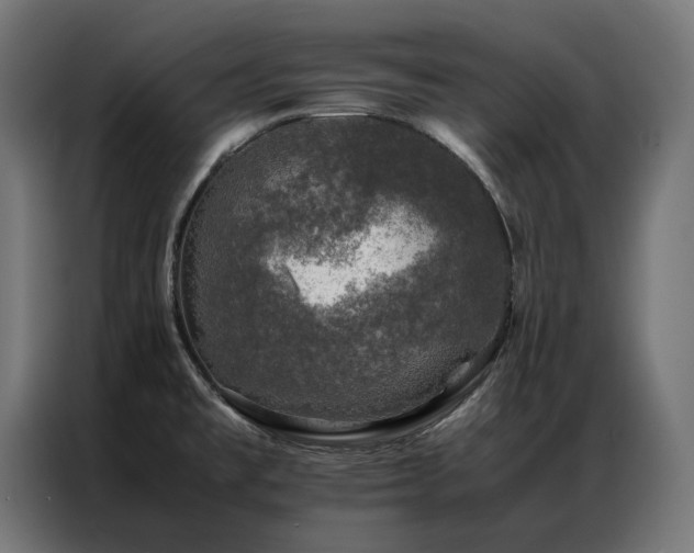 X0000086891477200704161234