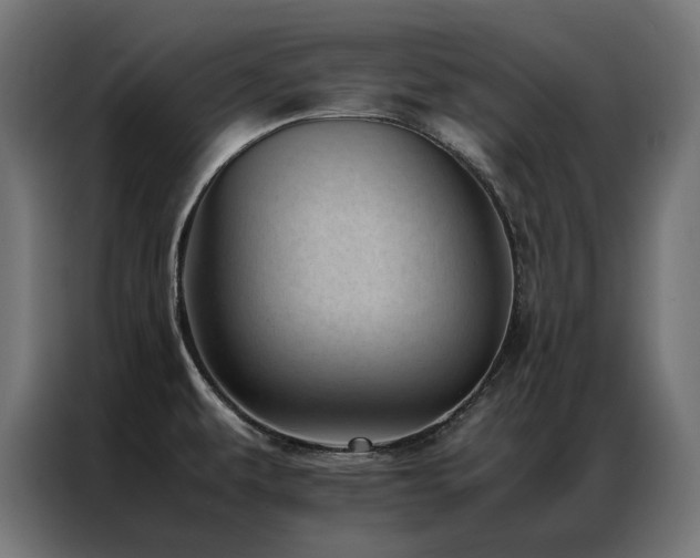 X0000086891479200704161234