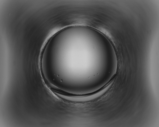 X0000086891480200704161234