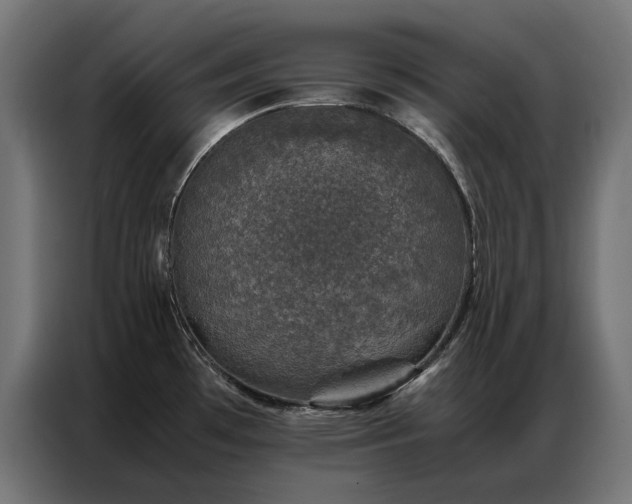 X0000086891481200704161234