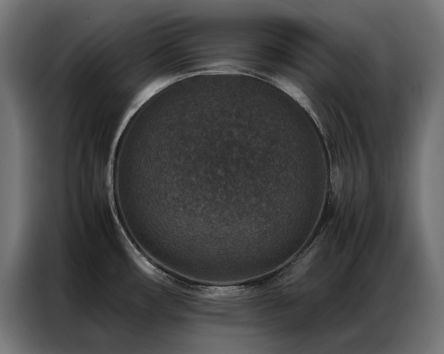 X0000086891482200704161234