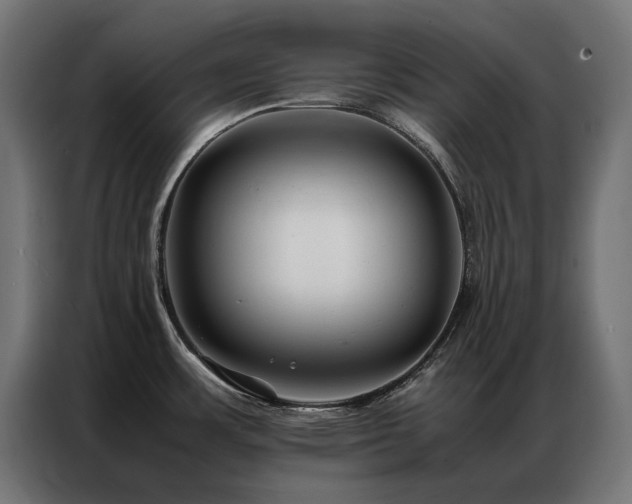 X0000086891483200704161234