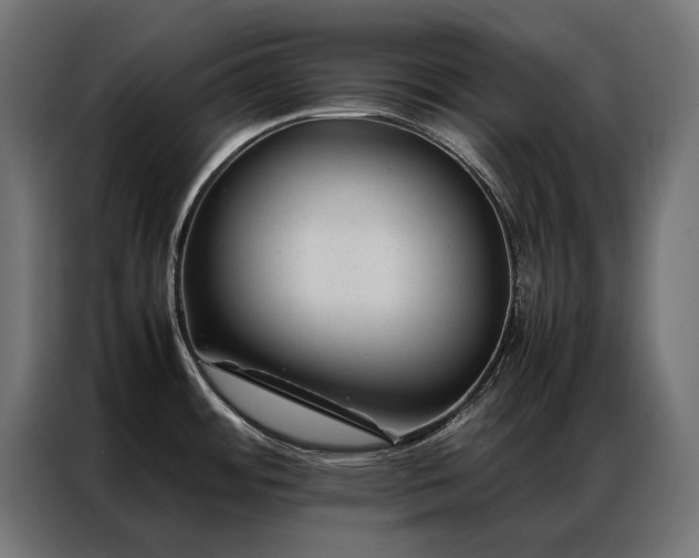 X0000086891484200704161234