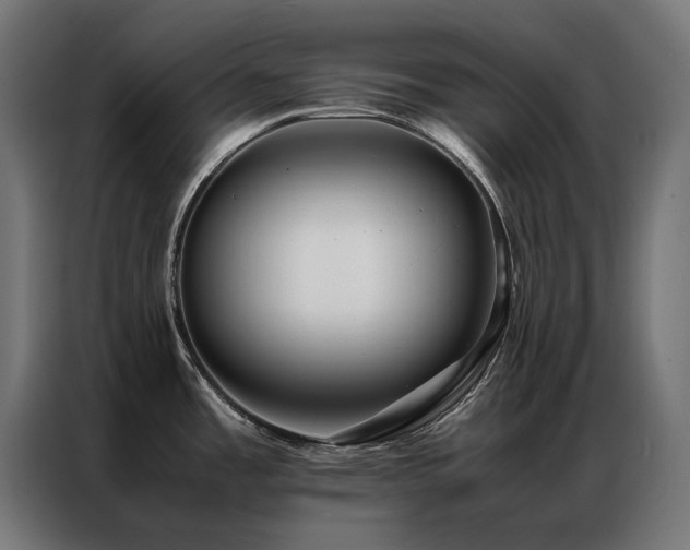 X0000086891485200704161234