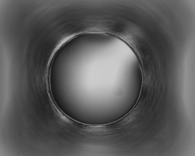 X0000086891486200704161234